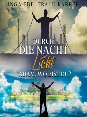 cover image of Durch die Nacht zum Licht